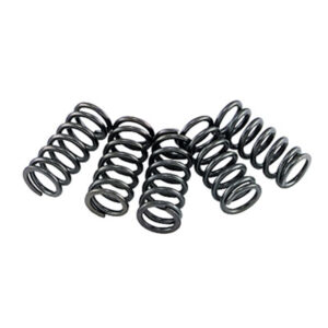 EBC Clutch Spring Set